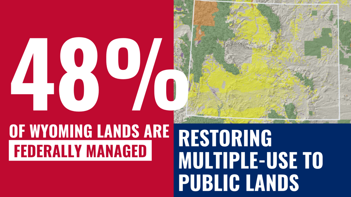 Public lands