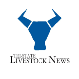 TSLN logo